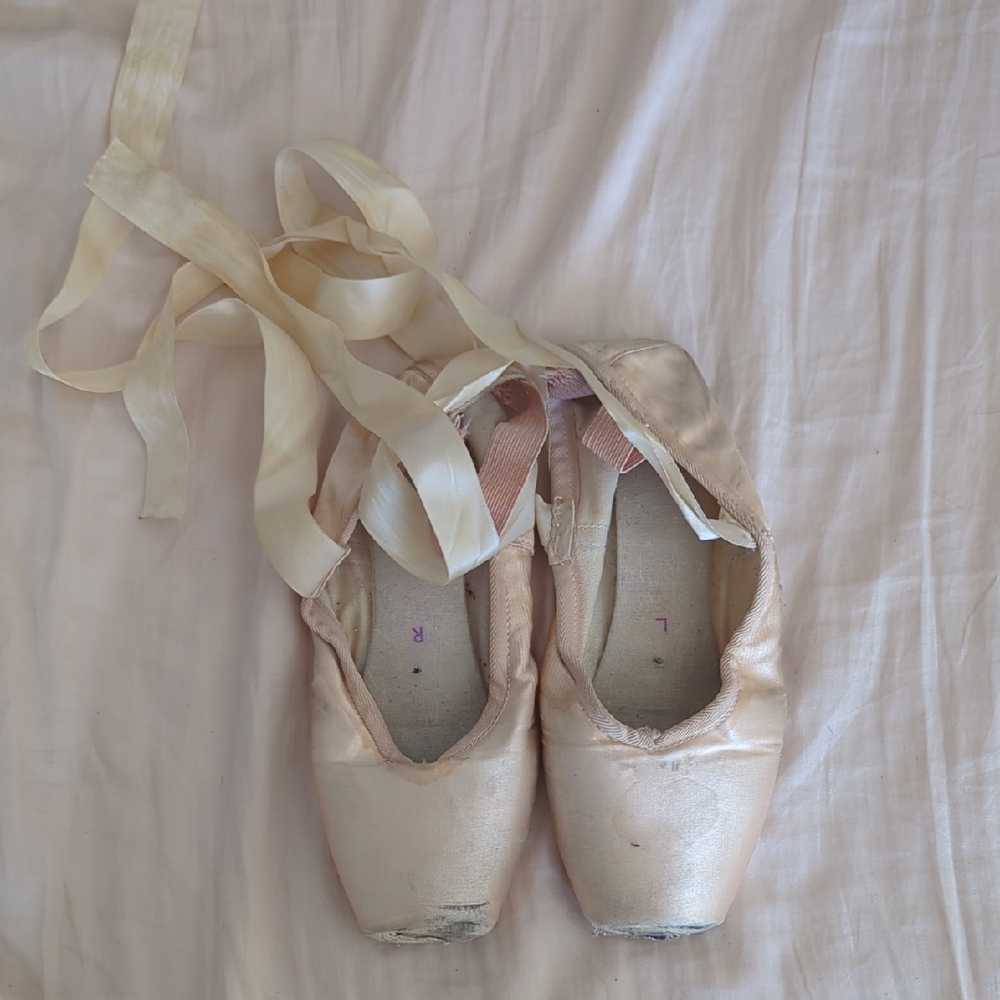 Dead Grishko 2007 Ballet Pointe Shoes